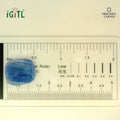 IGITL_194680_SCALE.webp
