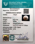 ITLGR_106971_CERTIFICATE.webp