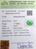 IGITL_203368_CERTIFICATE.webp