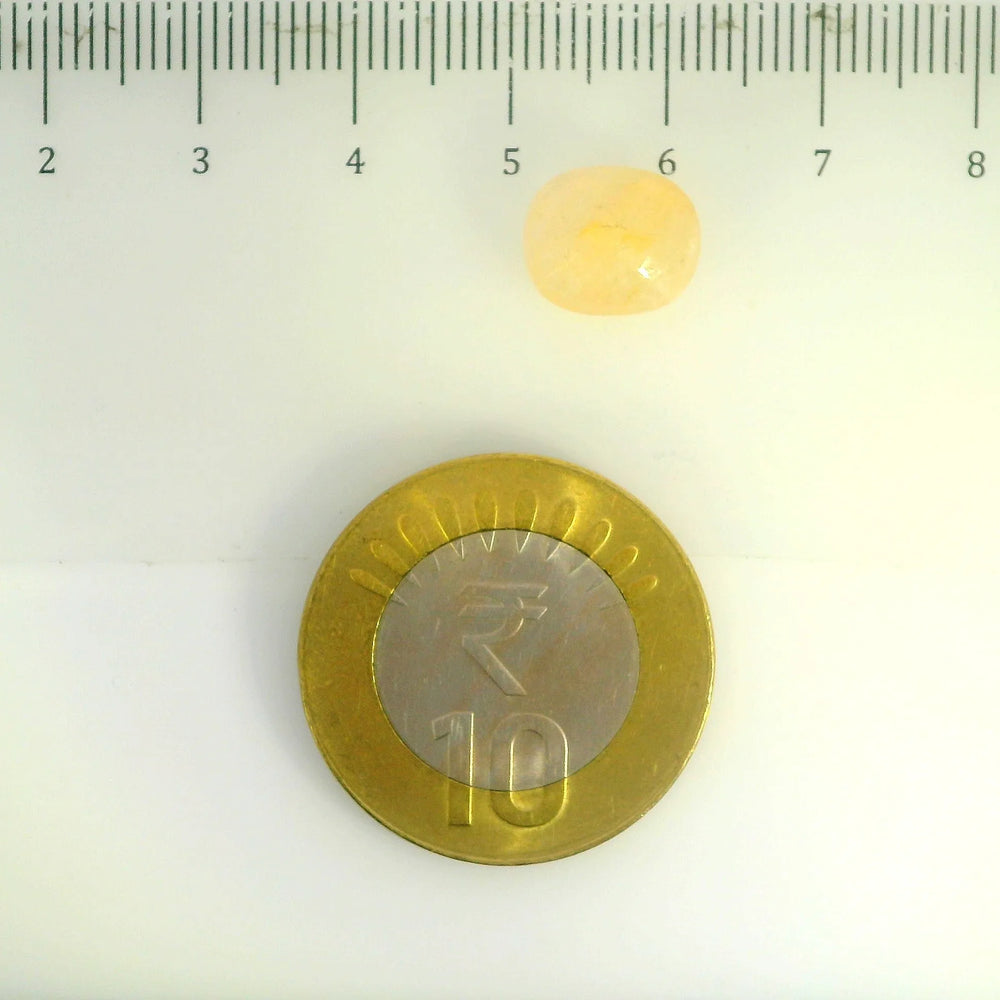 ITLGR_106786_SCALE.webp
