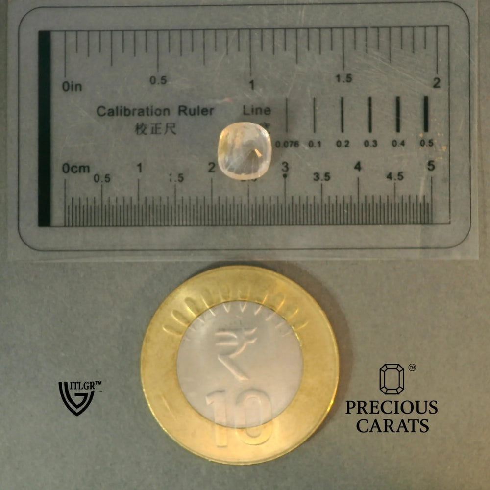 ITLGR_100395_SCALE.webp