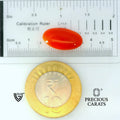 ITLGR_105287_SCALE.webp