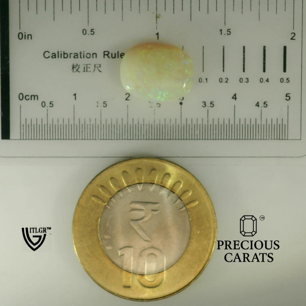 ITLGR_102007_SCALE.webp