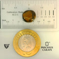 ITLGR_104452_SCALE.webp