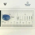 ITLGR_98961_SCALE.webp