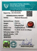ITLGR_105296_CERTIFICATE.webp