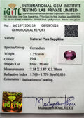 IGITL_200219_CERTIFICATE.webp