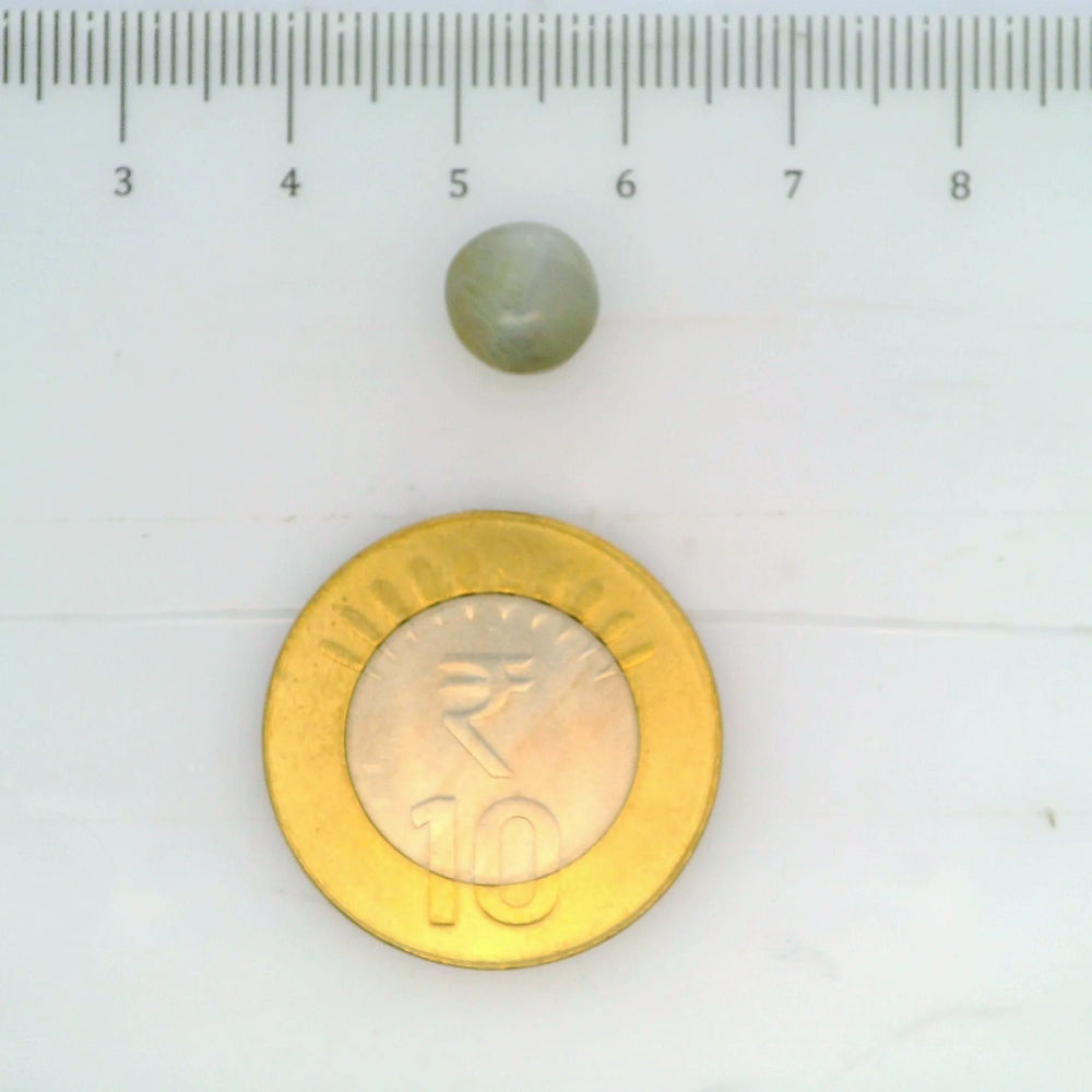 ITLGR_109820_SCALE.webp