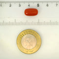 ITLGR_121333_SCALE.webp