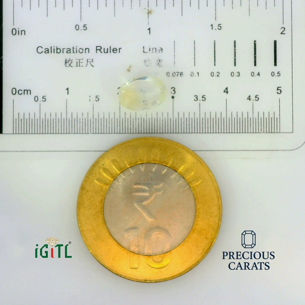 IGITL_197809_SCALE.webp
