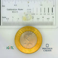 IGITL_197809_SCALE.webp