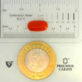 ITLGR_104545_SCALE.webp