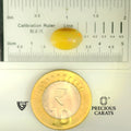 ITLGR_100515_SCALE.webp