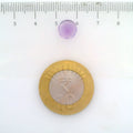 ITLGR_113092_SCALE.webp