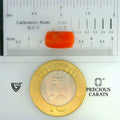 ITLGR_104502_SCALE.webp