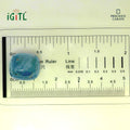 IGITL_194682_SCALE.webp