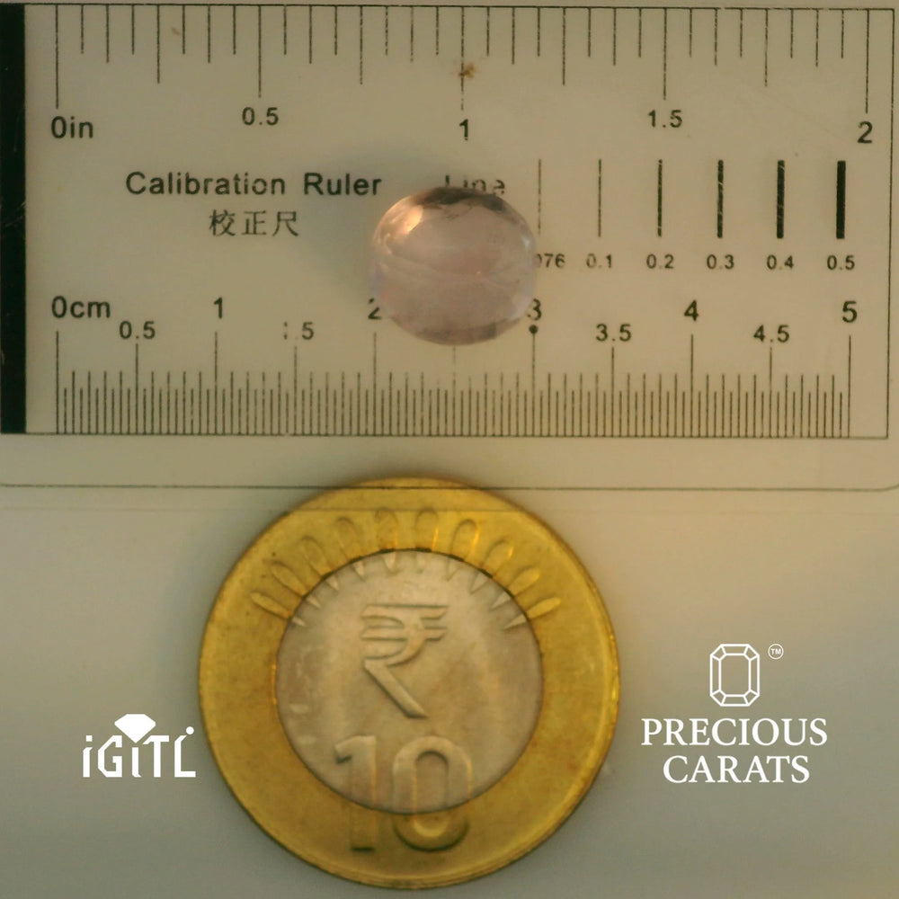 IGITL_197830_SCALE.webp