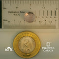 IGITL_197830_SCALE.webp