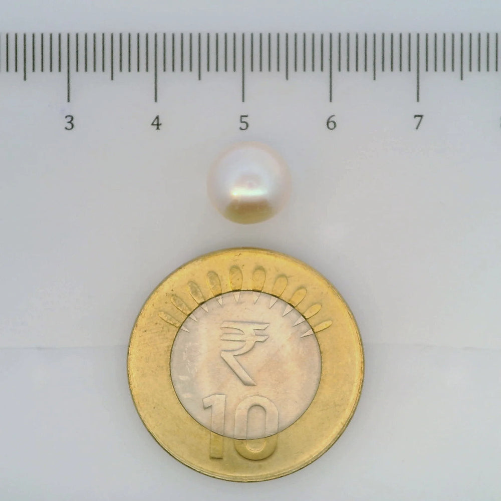 ITLGR_107039_SCALE.webp