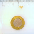 ITLGR_113342_SCALE.webp