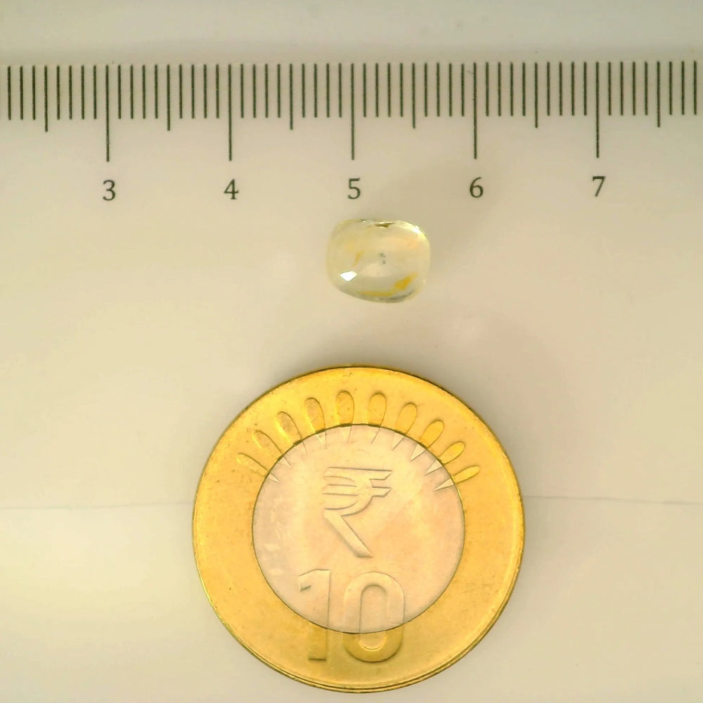ITLGR_104986_SCALE.webp