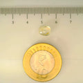 ITLGR_104986_SCALE.webp