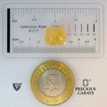 ITLGR_98877_SCALE.webp