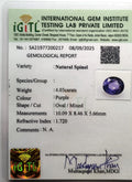 IGITL_200217_CERTIFICATE.webp