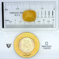 ITLGR_99040_SCALE.webp