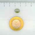 ITLGR_109785_SCALE.webp