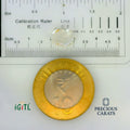 IGITL_197807_SCALE.webp
