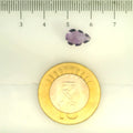ITLGR_109445_SCALE.webp