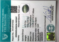 ITLGR_107068_CERTIFICATE.webp