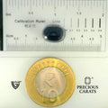 ITLGR_101664_SCALE.webp