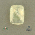 IGITL_200288_TOP.webp