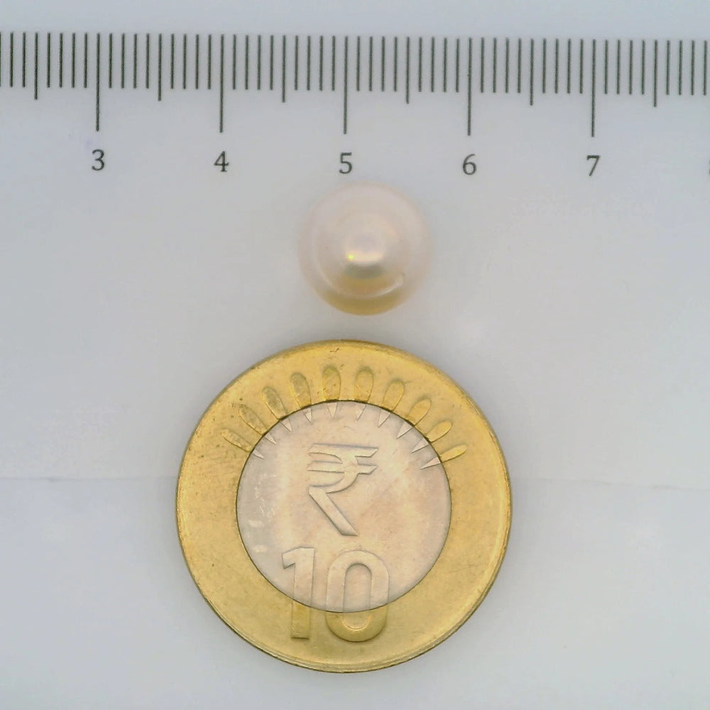 ITLGR_106967_SCALE.webp