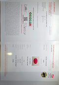 GFCO_39059_11_CERTIFICATE.webp