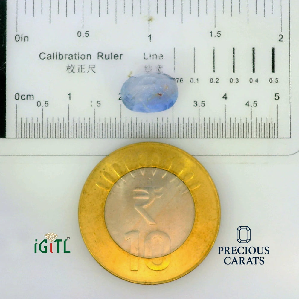 IGITL_197773_SCALE.webp