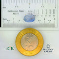 IGITL_197773_SCALE.webp