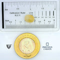 ITLGR_99065_SCALE.webp