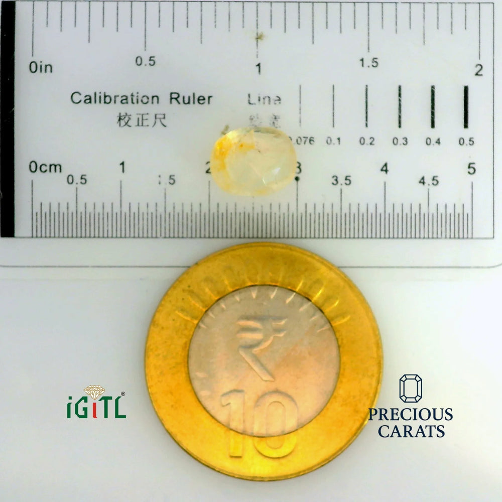 IGITL_197736_SCALE.webp