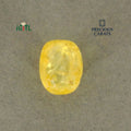 IGITL_200266_TOP.webp