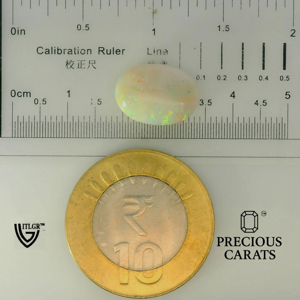 ITLGR_101959_SCALE.webp