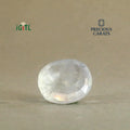 IGITL_200247_BACK.webp