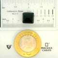 ITLGR_104571_SCALE.webp