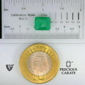 ITLGR_102154_SCALE.webp