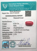 ITLGR_104529_CERTIFICATE.webp