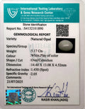 ITLGR_101890_CERTIFICATE.webp