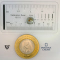 ITLGR_99131_SCALE.webp