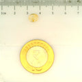 ITLGR_104911_SCALE.webp